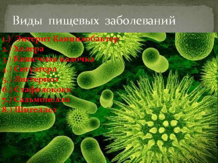 Виды пищевых заболеваний 1. ) Энтерит Кампилобактер 2. ) Холера 3. ) Кишечная палочка