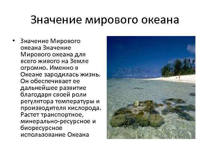 Значение мирового океана схема