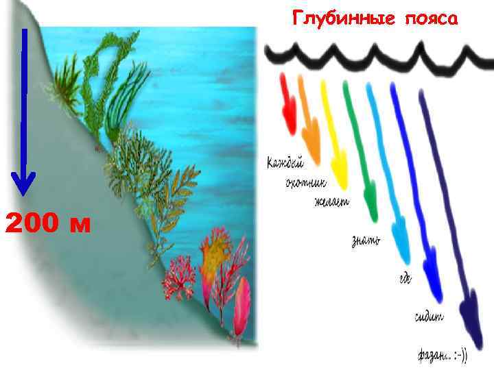 Глубинные пояса 200 м 