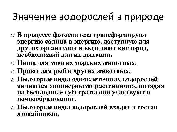 Значение водорослей в природе o В процессе фотосинтеза трансформируют энергию солнца в энергию, доступную