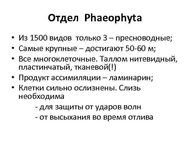 Отдел Phaeophyta • Из 1500 видов только 3 – пресноводные; • Самые крупные –