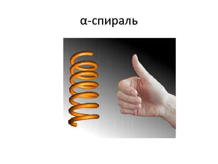 α-спираль 