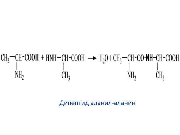 Серин аланин дипептид