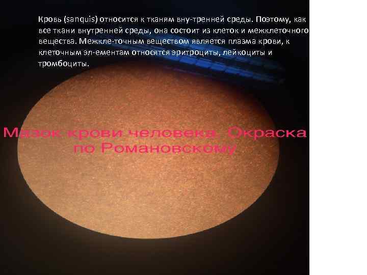 Кровь (sanquis) относится к тканям вну тренней среды. Поэтому, как и все ткани внутренней