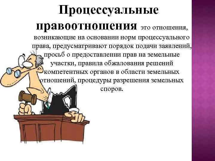 Процессуальные правоотношения это отношения, возникающие на основании норм процессуального права, предусматривают порядок подачи заявлений,