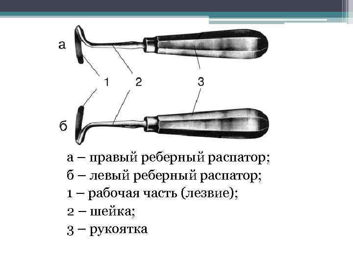 а – правый реберный распатор; б – левый реберный распатор; 1 – рабочая часть