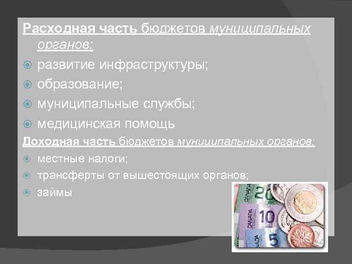 Расходная часть бюджетов муниципальных органов: развитие инфраструктуры; образование; муниципальные службы; медицинская помощь Доходная часть