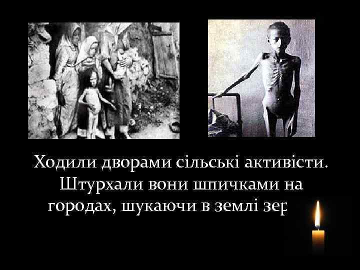 Ходили дворами сільські активісти. Штурхали вони шпичками на городах, шукаючи в землі зерно. 