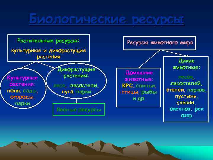 Ресурсы реферат. Биологические ресурсы презентация. Биологические ресурсы таблица. Биологические ресурсы мира. Биологические природные ресурсы страны.