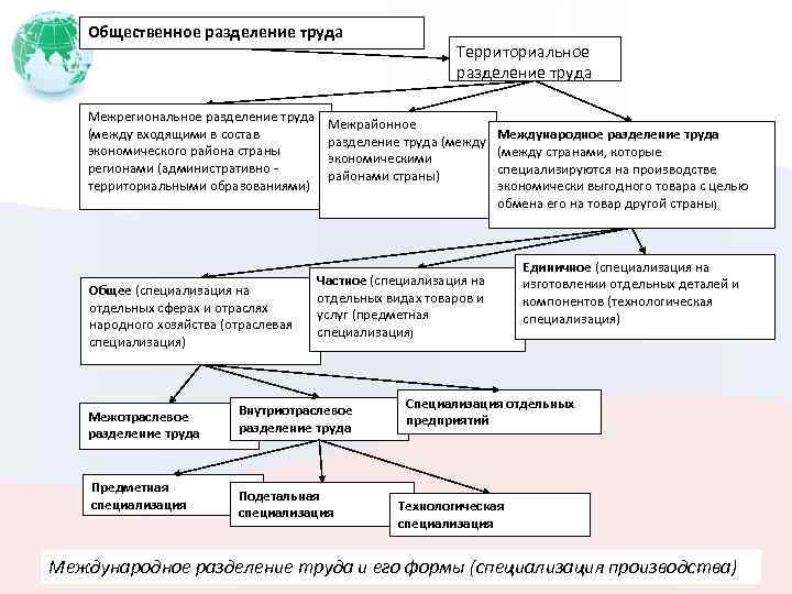 Социальное разделение труда