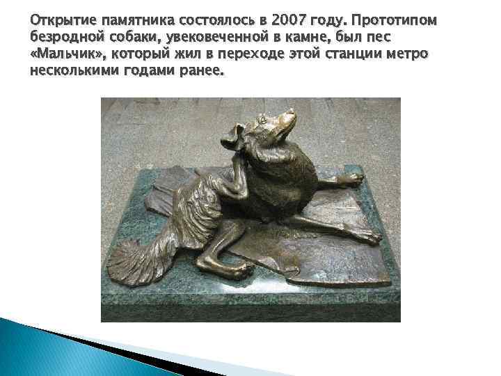 Открытие памятника состоялось в 2007 году. Прототипом безродной собаки, увековеченной в камне, был пес