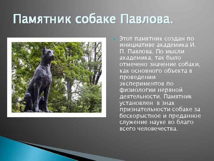 Памятник собаке Павлова. Этот памятник создан по инициативе академика И. П. Павлова. По мысли