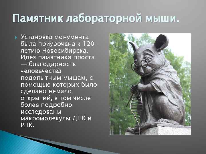 Памятник лабораторной мыши. Установка монумента была приурочена к 120 летию Новосибирска. Идея памятника проста