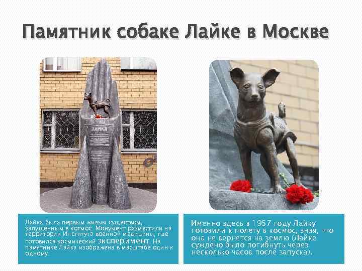 Памятник собаке Лайке в Москве Лайка была первым живым существом, запущенным в космос. Монумент