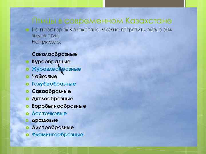 Птицы в современном Казахстане На просторах Казахстана можно встретить около 504 видов птиц. Например: