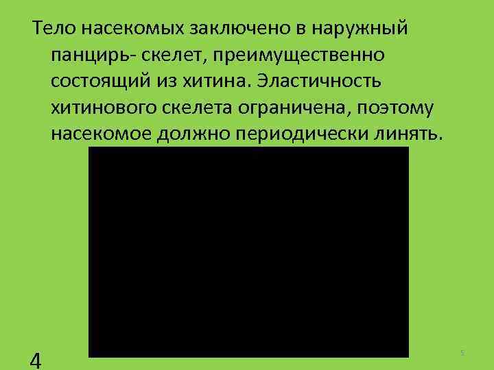 Тело насекомых заключено в наружный панцирь- скелет, преимущественно состоящий из хитина. Эластичность хитинового скелета