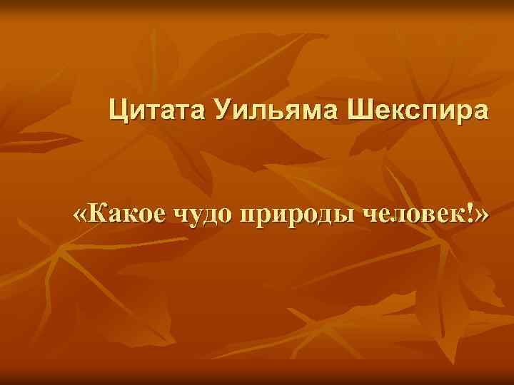 Цитата Уильяма Шекспира «Какое чудо природы человек!» 