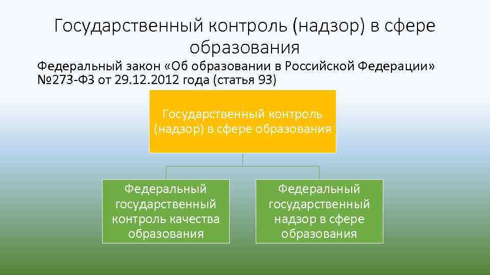 Государственный контроль надзор в сфере образования презентация