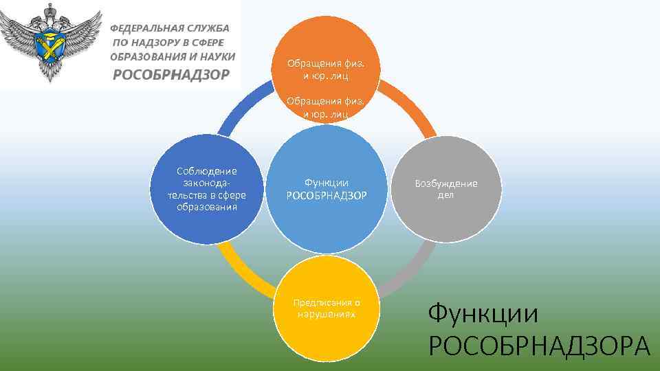 Надзор в сфере образования