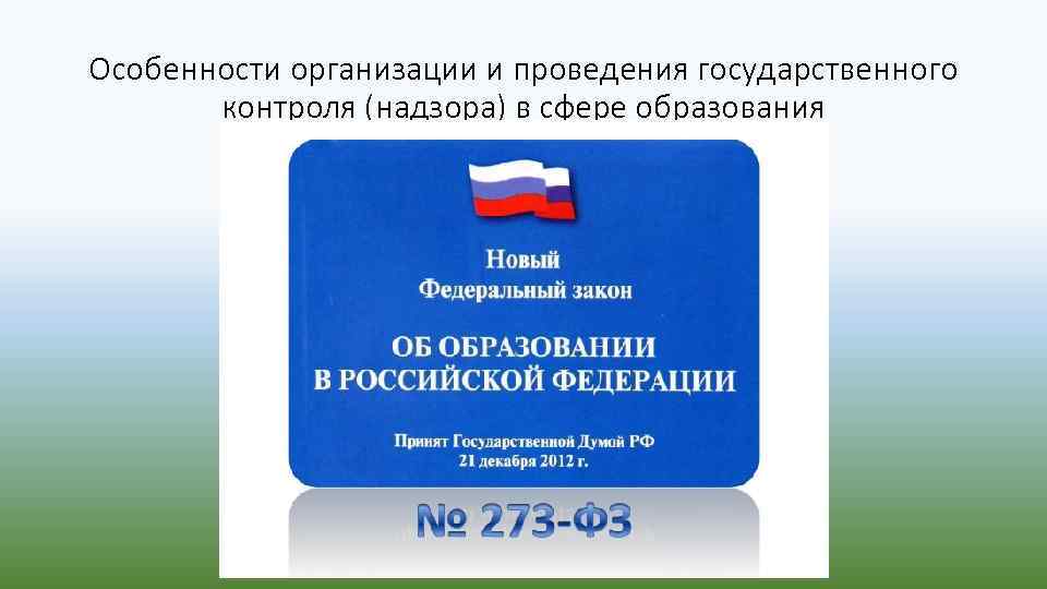 Особенности организации и проведения государственного контроля (надзора) в сфере образования 