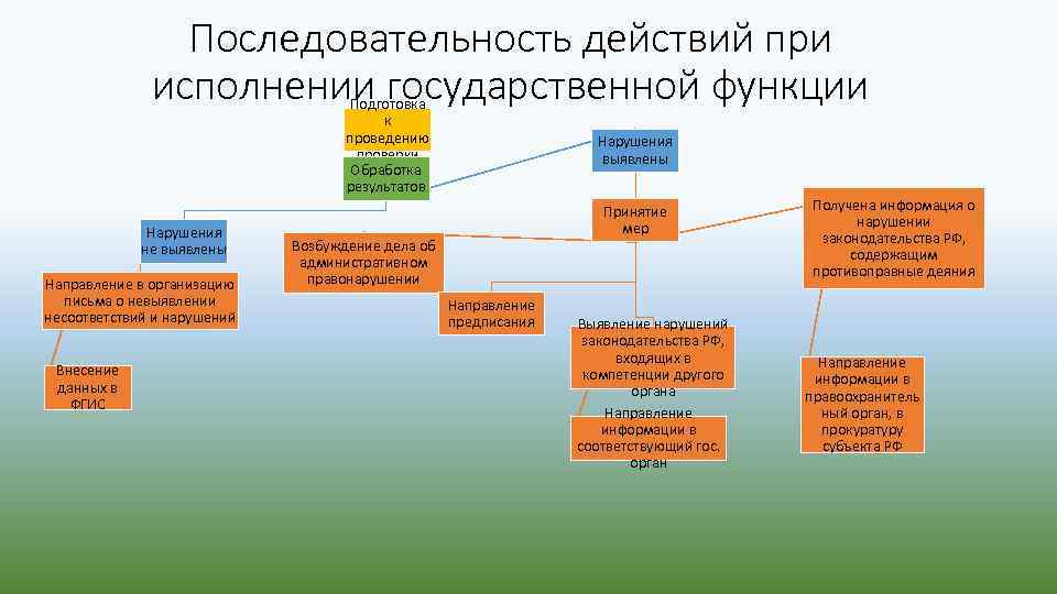 Последовательность действий при исполнении государственной функции Подготовка к проведению проверки Обработка результатов Нарушения не