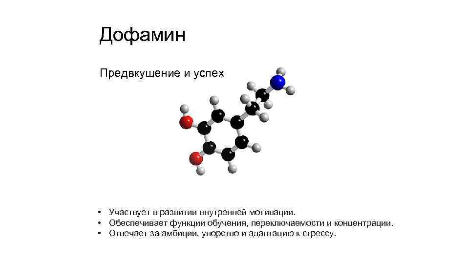 Дофамин Предвкушение и успех • Участвует в развитии внутренней мотивации. • Обеспечивает функции обучения,