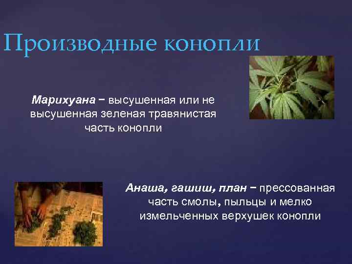 Производные конопли Марихуана – высушенная или не высушенная зеленая травянистая часть конопли Анаша, гашиш,