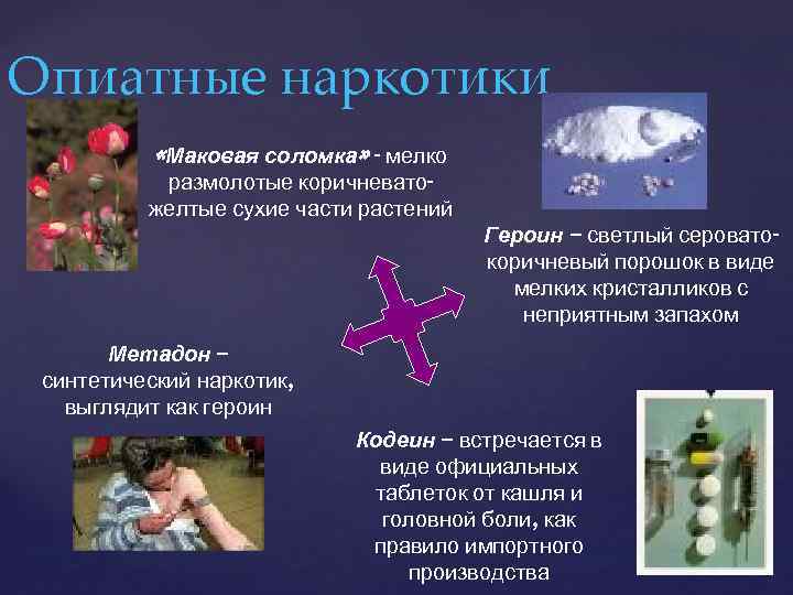 Опиатные наркотики «Маковая соломка» - мелко размолотые коричневатожелтые сухие части растений Героин – светлый