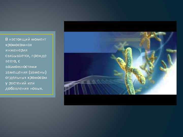 В настоящий момент хромосомная инженерия связывается, прежде всего, с возможностями замещения (замены) отдельных хромосом