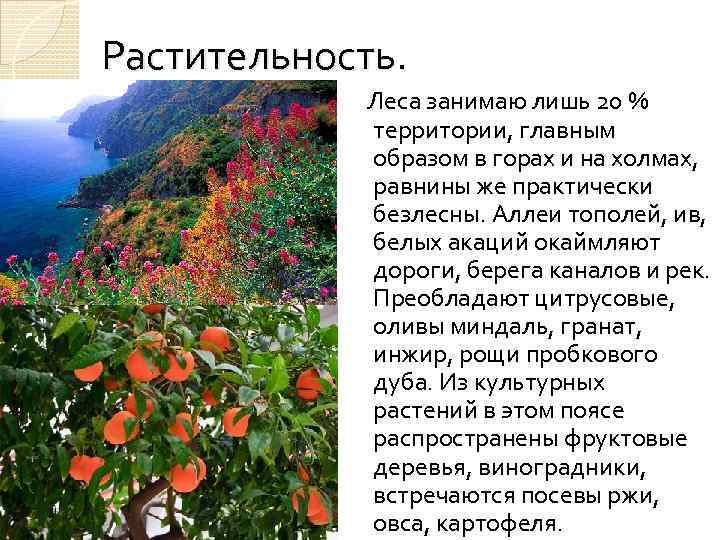 Природа италии презентация