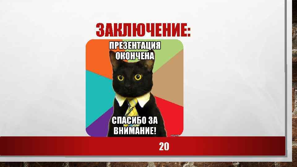 ЗАКЛЮЧЕНИЕ: 20 