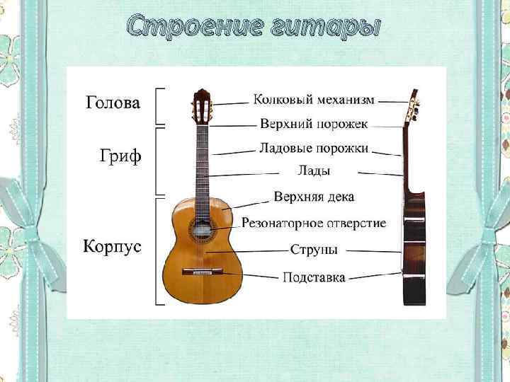 Строение аккордеона схема