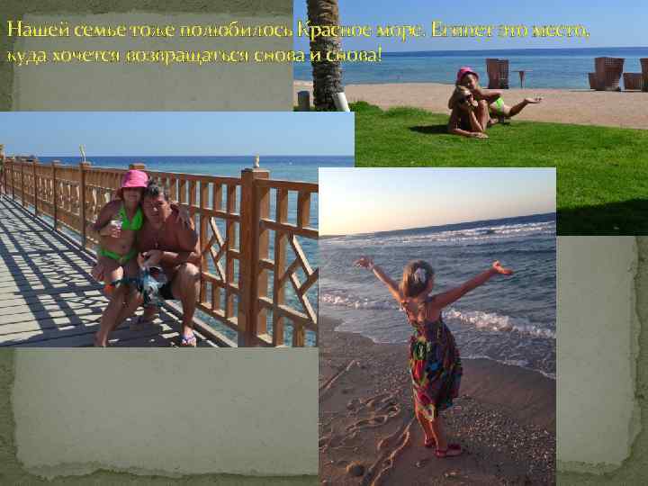 Нашей семье тоже полюбилось Красное море. Египет это место, куда хочется возвращаться снова и