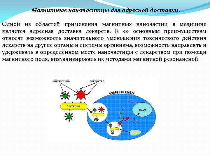 Магнитные наночастицы для адресной доставки. Одной из областей применения магнитных наночастиц в медицине является