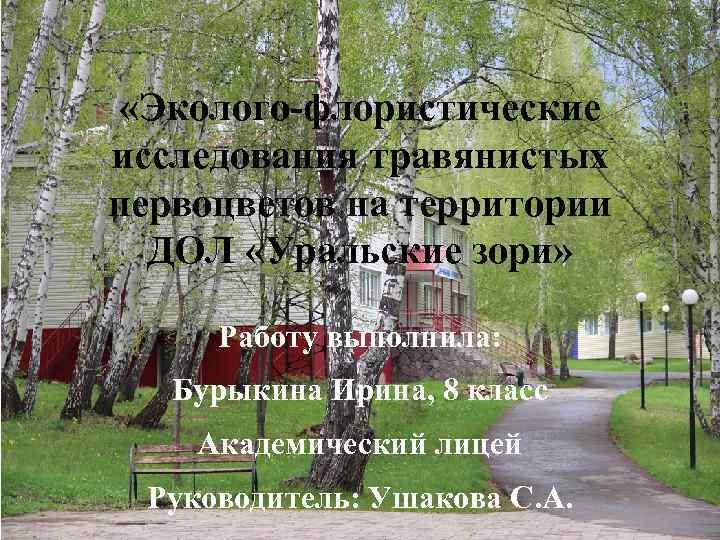  «Эколого-флористические исследования травянистых первоцветов на территории ДОЛ «Уральские зори» Работу выполнила: Бурыкина Ирина,