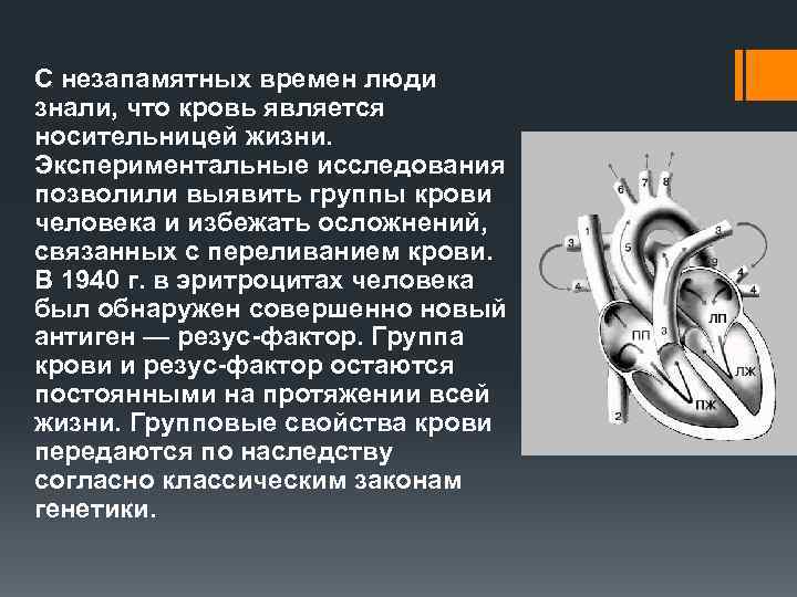 С незапамятных времен люди знали, что кровь является носительницей жизни. Экспериментальные исследования позволили выявить