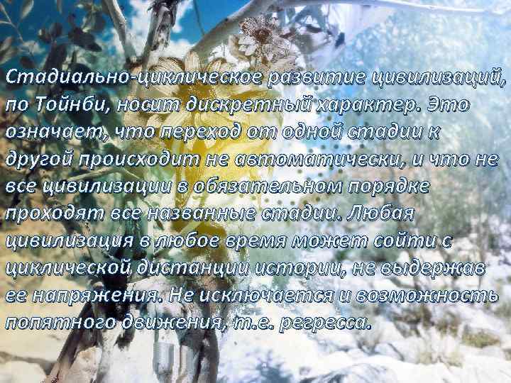 Стадиально циклическое развитие цивилизаций, по Тойнби, носит дискретный характер. Это означает, что переход от
