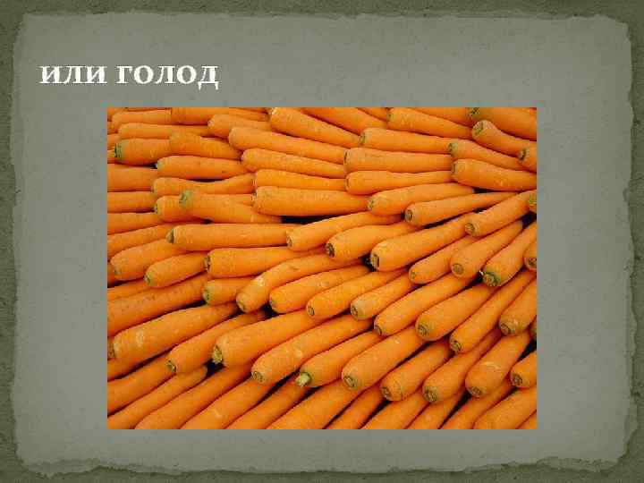 или голод 