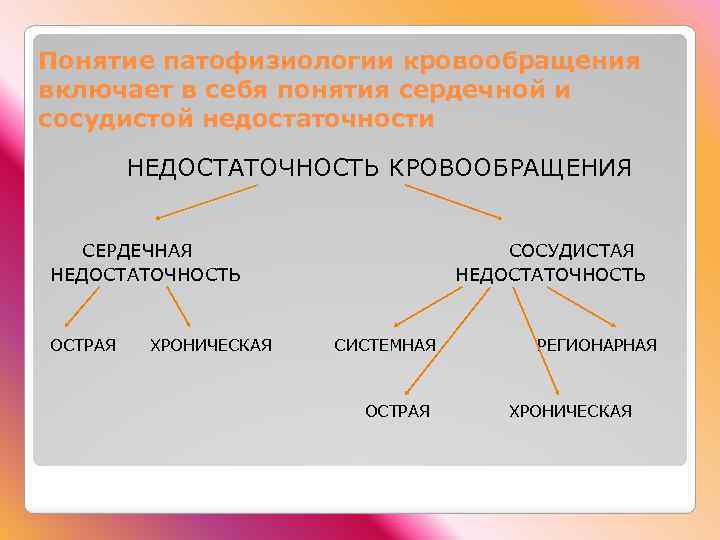 Понятие патофизиологии кровообращения включает в себя понятия сердечной и сосудистой недостаточности НЕДОСТАТОЧНОСТЬ КРОВООБРАЩЕНИЯ СЕРДЕЧНАЯ