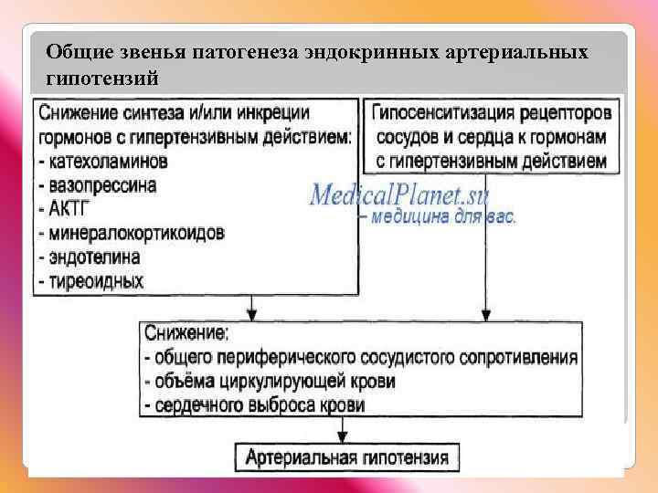 Общие звенья патогенеза эндокринных артериальных гипотензий 