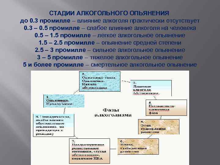 СТАДИИ АЛКОГОЛЬНОГО ОПЬЯНЕНИЯ до 0. 3 промилле – влияние алкоголя практически отсутствует 0. 3