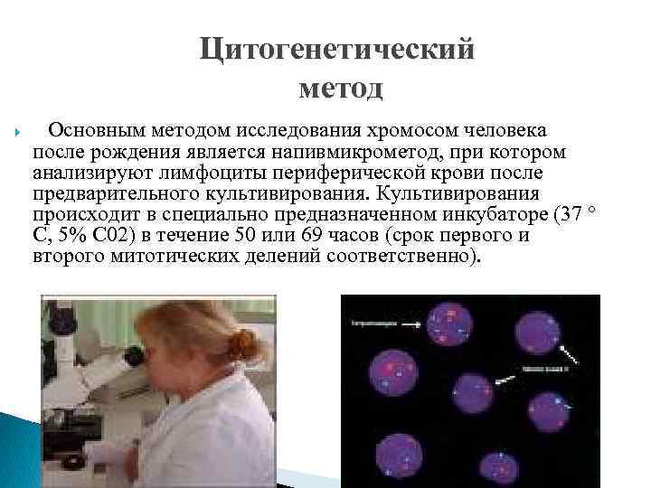 Цитогенетический метод Основным методом исследования хромосом человека после рождения является напивмикрометод, при котором анализируют