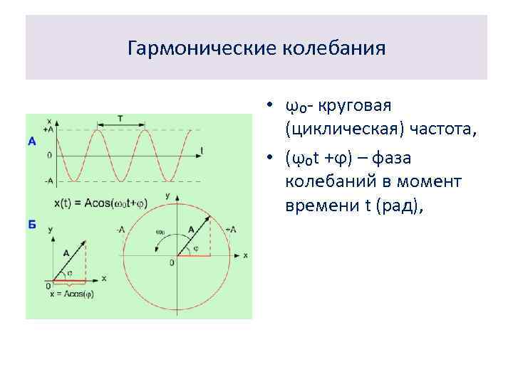 Гармонические колебания • ῳ₀- круговая (циклическая) частота, • (ῳ₀t +ϕ) – фаза колебаний в