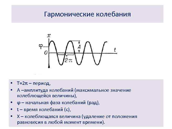 Колебания графики которых представлены на рисунке 1 и 2 отличаются периодом амплитудой