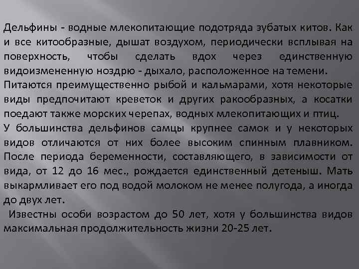 Дельфины - водные млекопитающие подотряда зубатых китов. Как и все китообразные, дышат воздухом, периодически