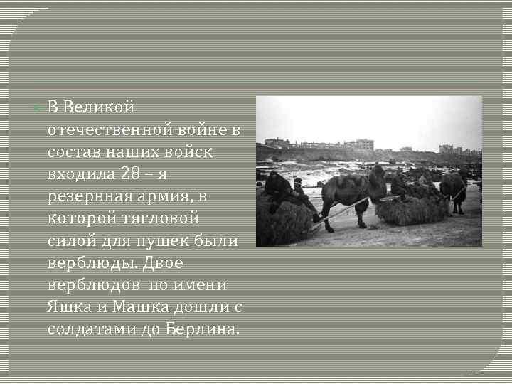  В Великой отечественной войне в состав наших войск входила 28 – я резервная