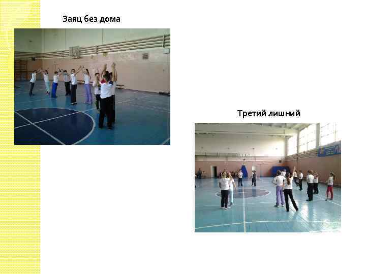 Заяц без дома Третий лишний 