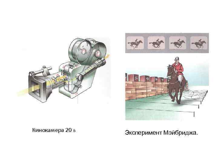 Кинокамера 20 в Эксперимент Мэйбриджа. 