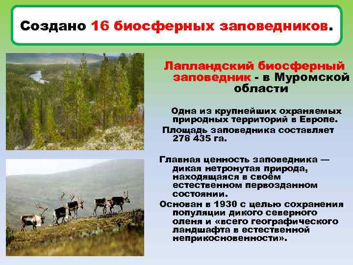Создано 16 биосферных заповедников. Лапландский биосферный заповедник - в Муромской области Одна из крупнейших