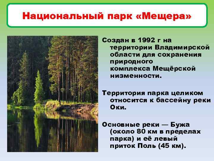 Национальный парк «Мещера» Создан в 1992 г на территории Владимирской области для сохранения природного
